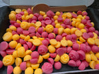 Halloween Scoopies Box