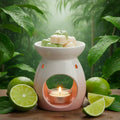 Rain Forest (Discontinued)
