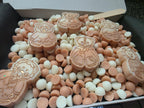 Halloween Scoopies Box